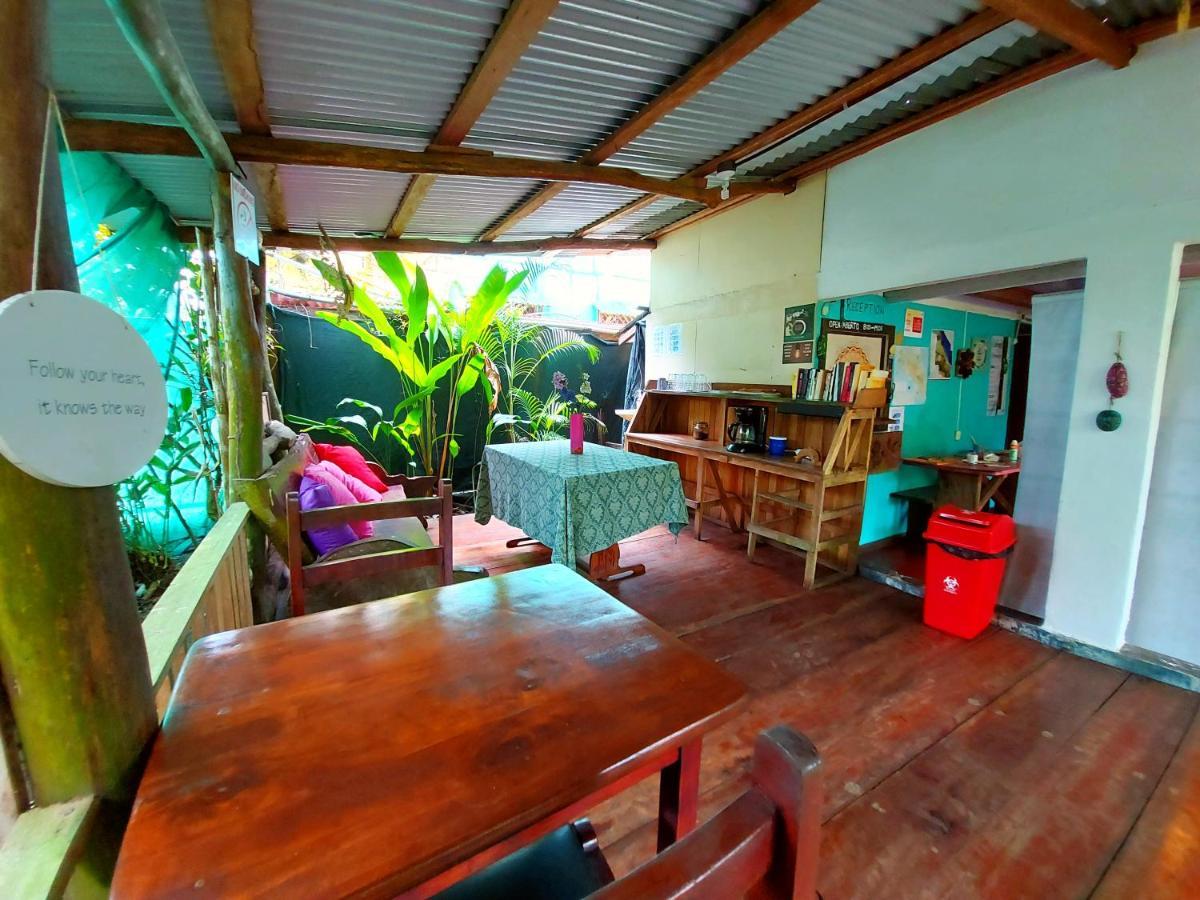 Cabinas Tortuguero Esterno foto