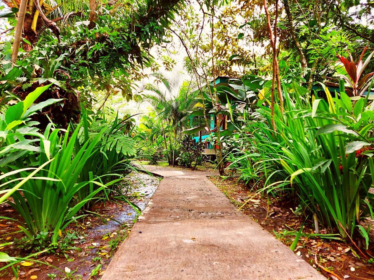 Cabinas Tortuguero Esterno foto