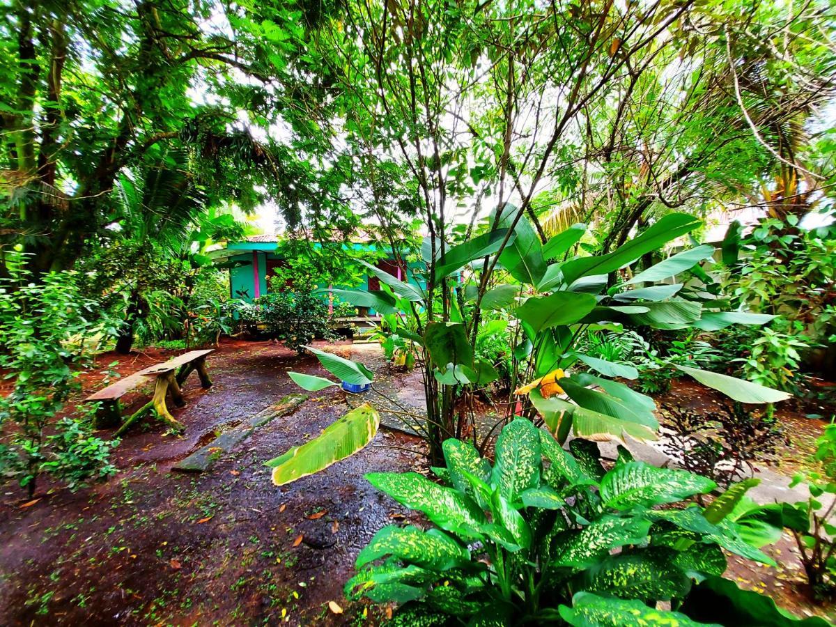 Cabinas Tortuguero Esterno foto