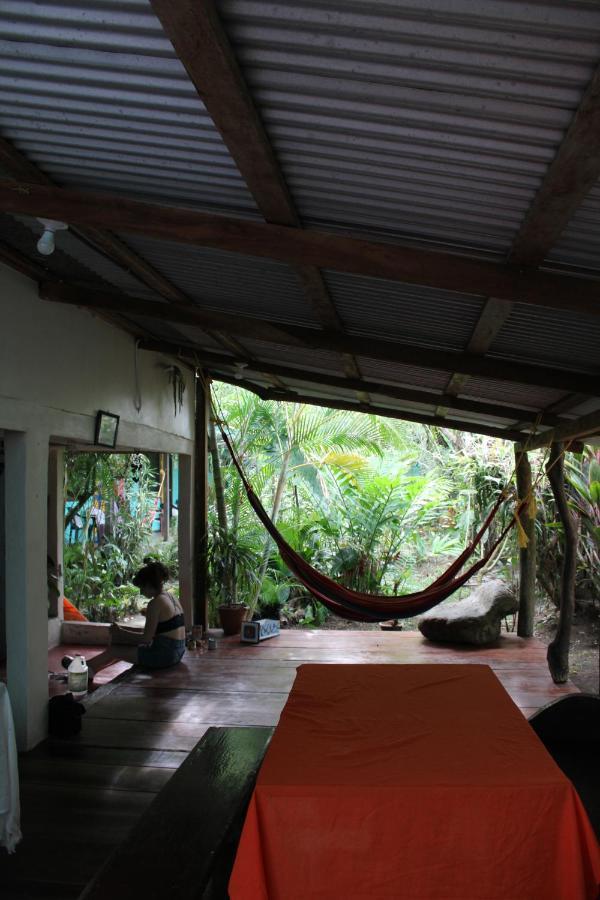 Cabinas Tortuguero Esterno foto