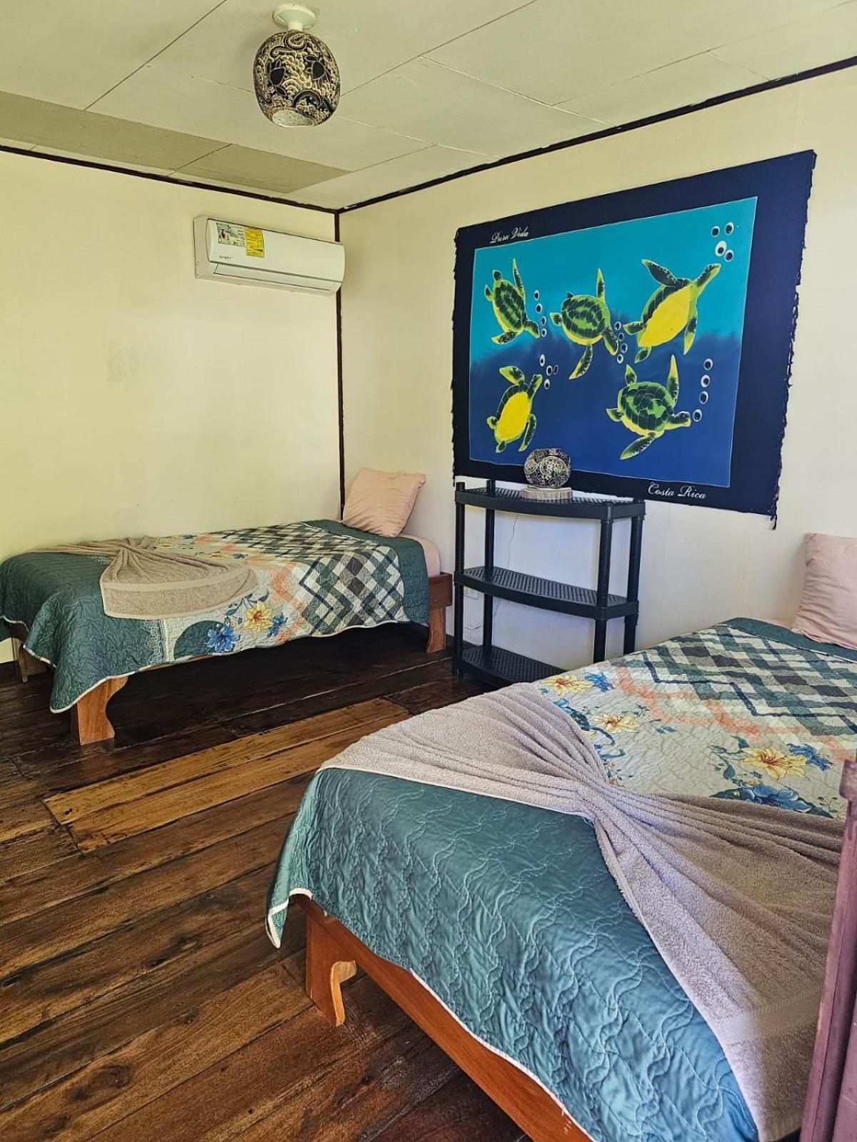 Cabinas Tortuguero Esterno foto
