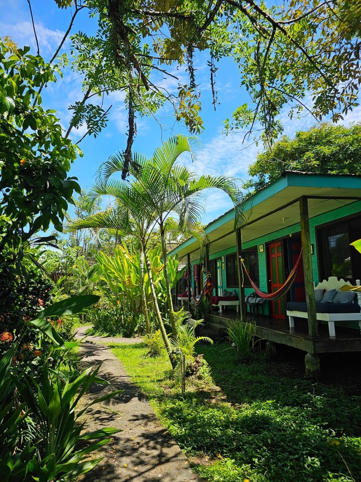 Cabinas Tortuguero Esterno foto