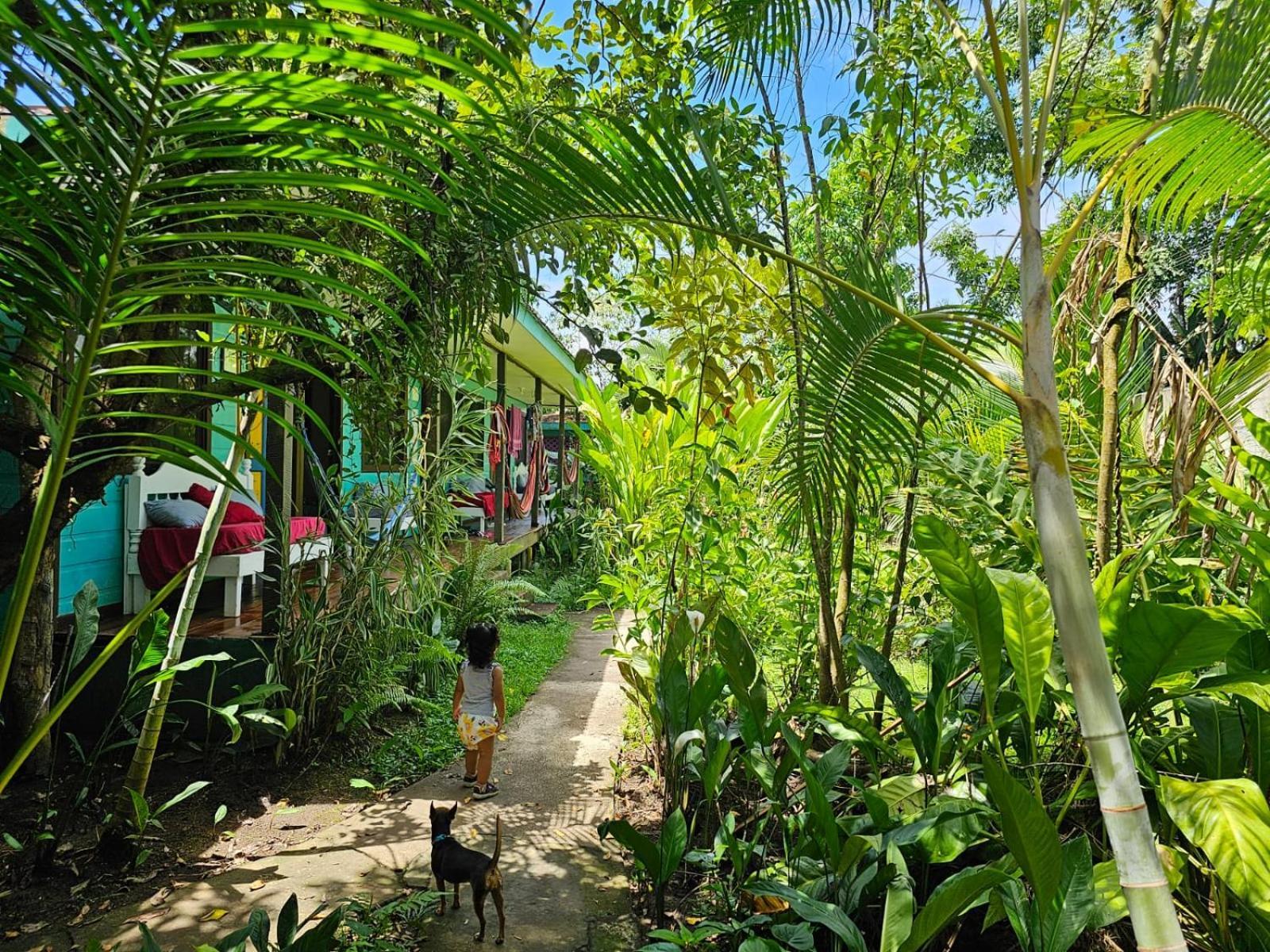 Cabinas Tortuguero Esterno foto