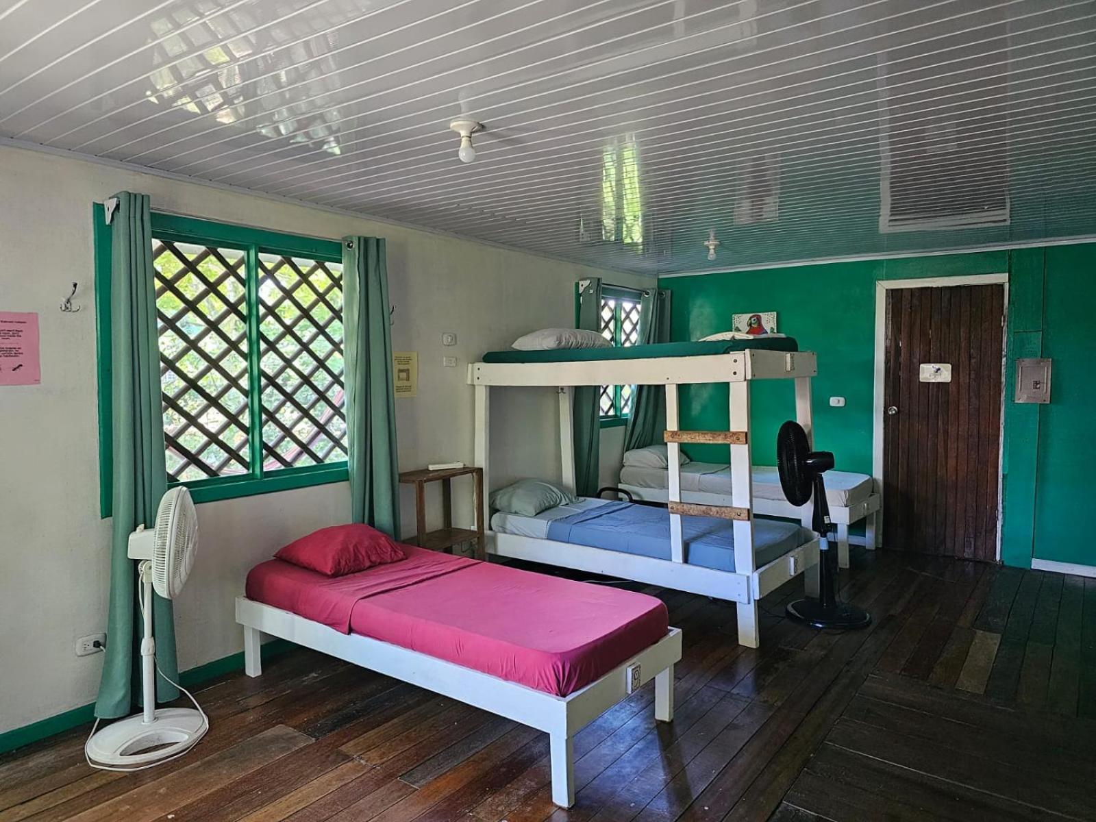 Cabinas Tortuguero Esterno foto