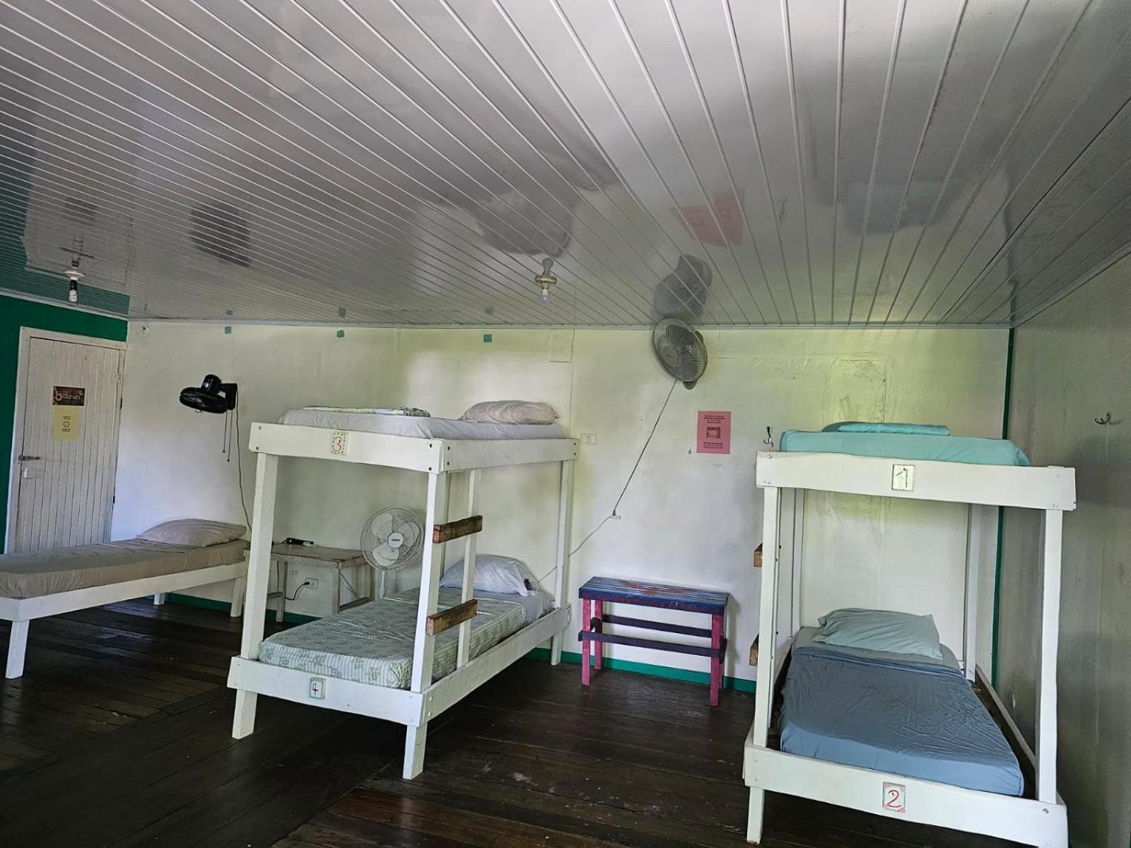 Cabinas Tortuguero Esterno foto