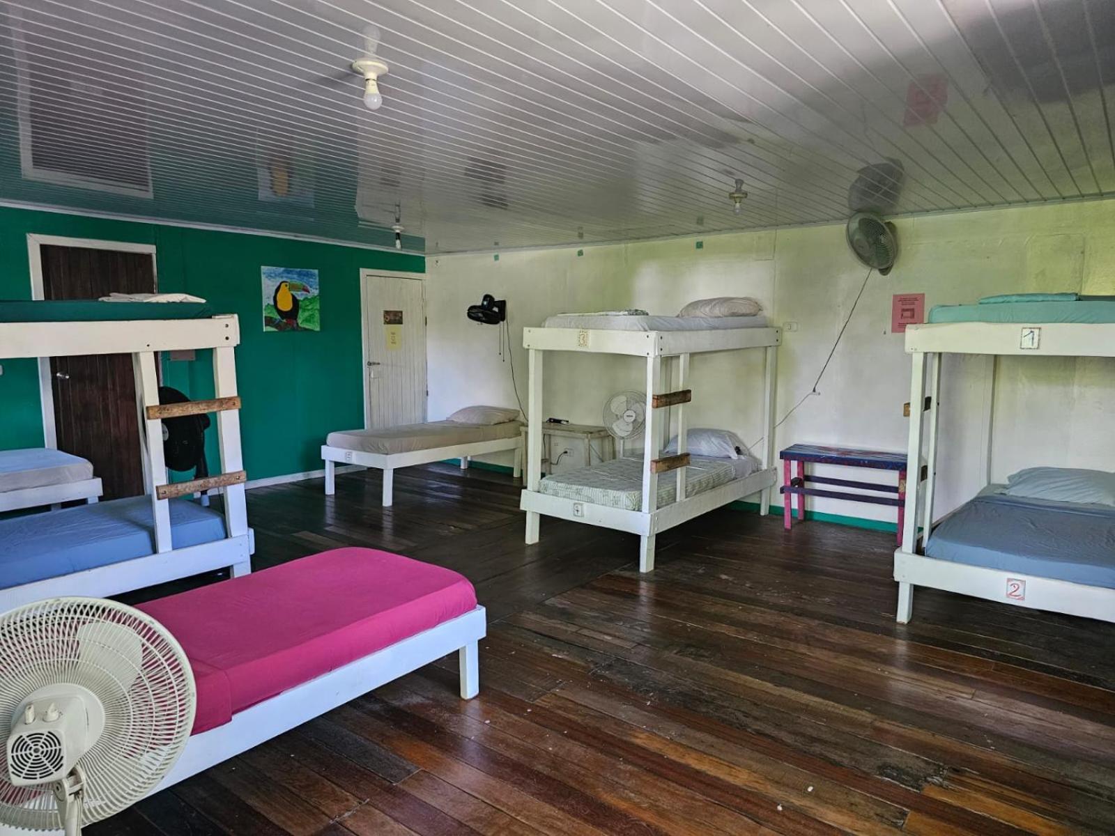 Cabinas Tortuguero Esterno foto