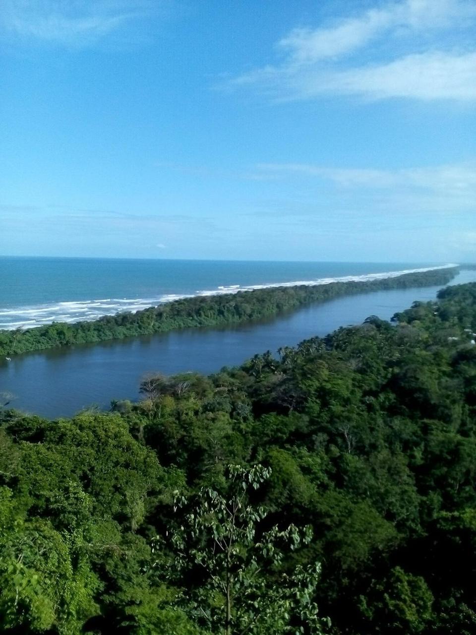 Cabinas Tortuguero Esterno foto